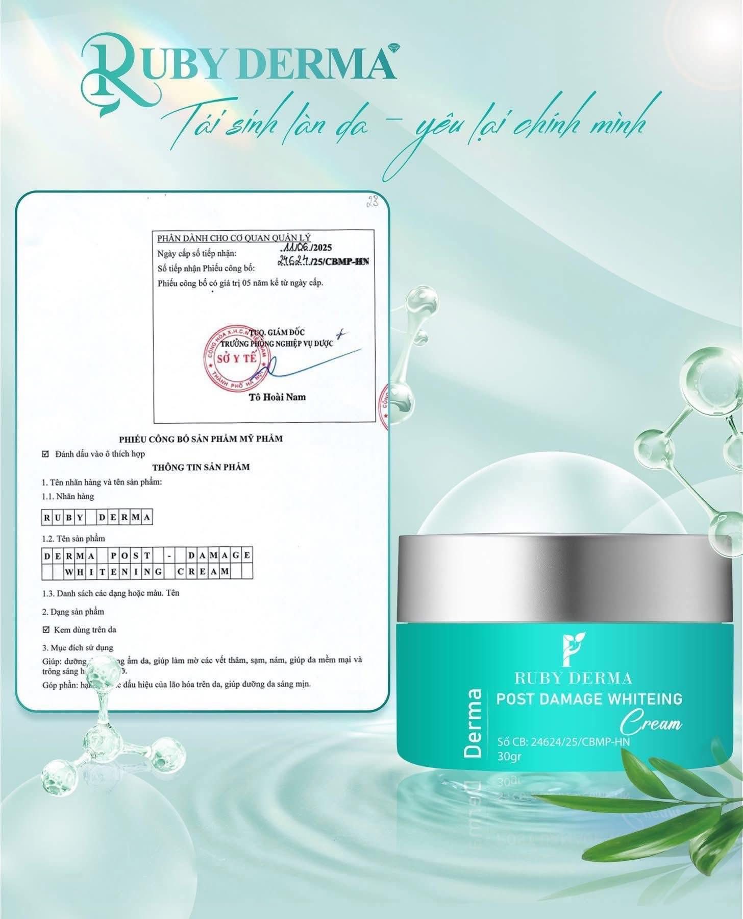 Kem dưỡng da DNA Hồng Yến Ruby Mẫu Mới: Trị Nám Gốc, Phục Hồi Da Thần Tốc - Hình ảnh 4